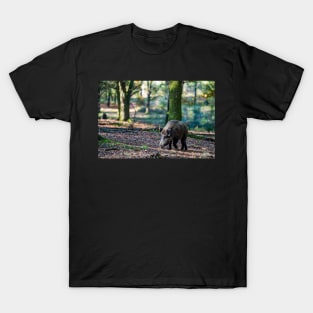 Dutch Boar T-Shirt